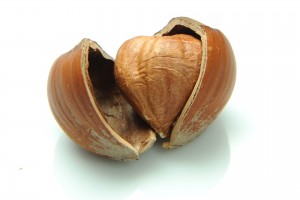 roasted hazelnut from Turkey